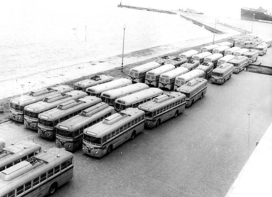 Trolebuses y omnibus en el puerto - Foto:  coleccion A. Silva